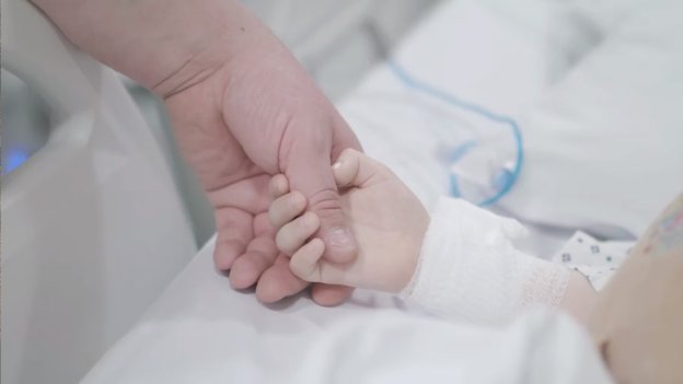 Person Holding a Babies Hand